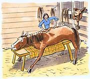 horse-chiro-cartoon